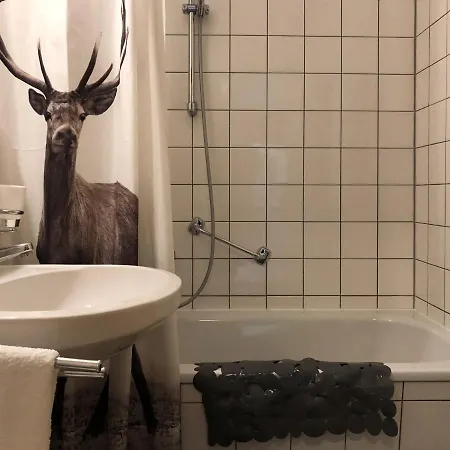 Apartment, Haus Lederer Apartment *