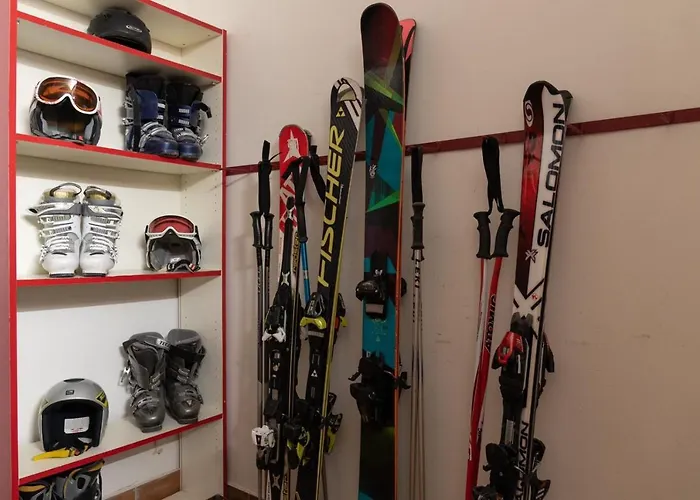 Apartment, Haus Lederer * Zell am See