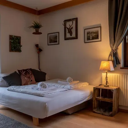 Apartment, Haus Lederer * Zell am See